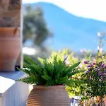 Pinelia Villa Mirtofiton