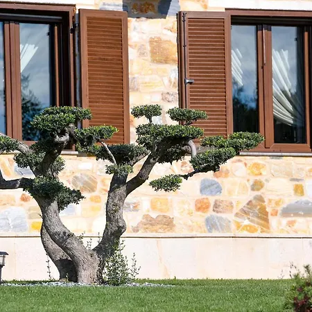 Pinelia Villa Mirtofiton