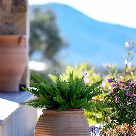 Pinelia Villa Mirtofiton