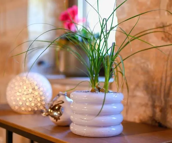 Pinelia * Mirtofiton