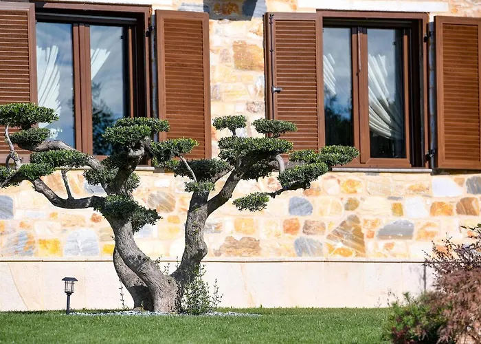 Pinelia 别墅 Mirtofiton