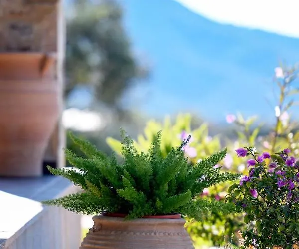 Pinelia 别墅 Mirtofiton